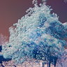 hdr_infrared